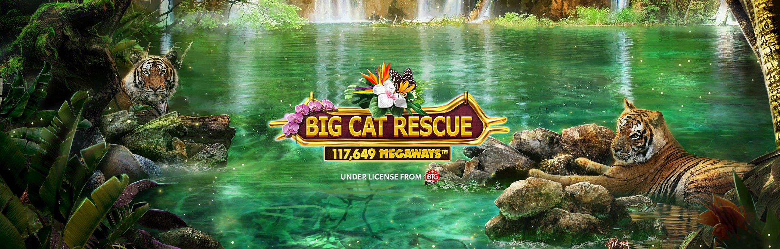 Big Cat Rescue Megaways™