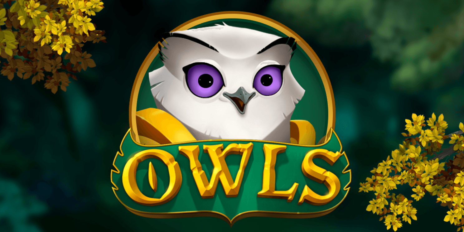 Owls