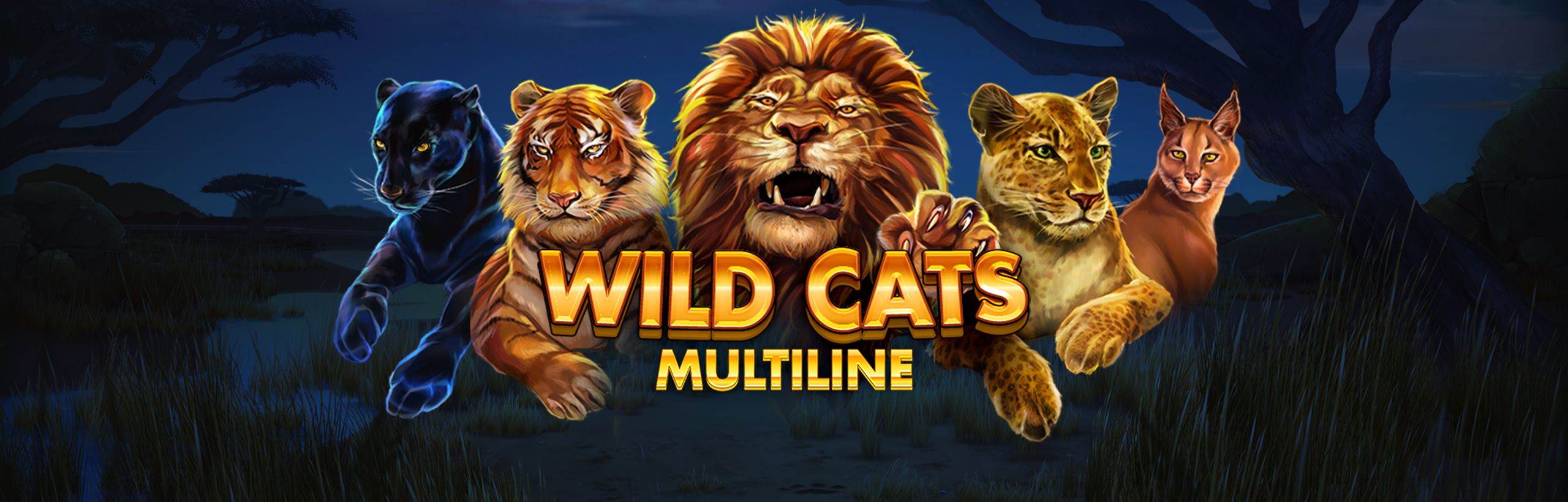 Wild Cats Multiline